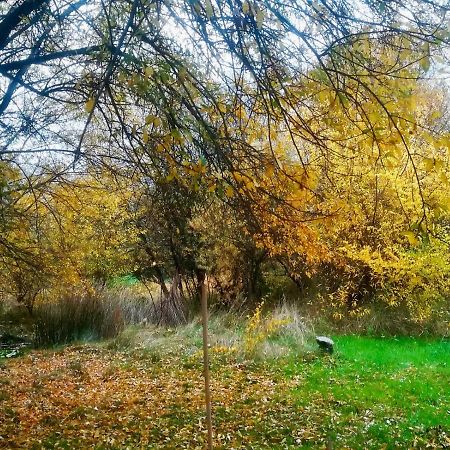فيلا La Yurta De Gaia سان لورنزو دي ش الإسكوريال المظهر الخارجي الصورة